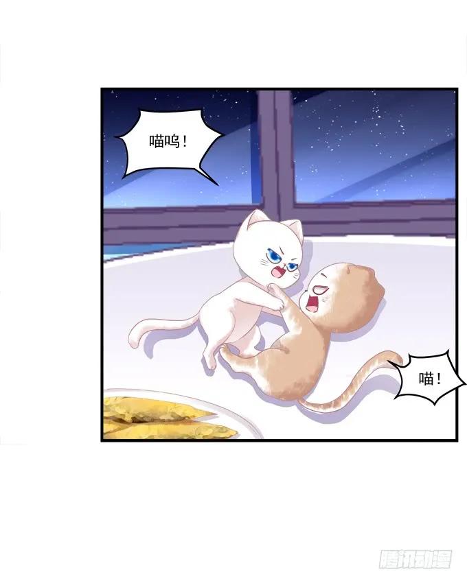 《猫妖的诱惑》情敌见面 第38页