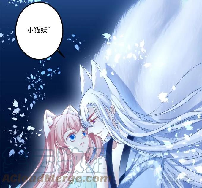 《猫妖的诱惑》情敌见面 第49页