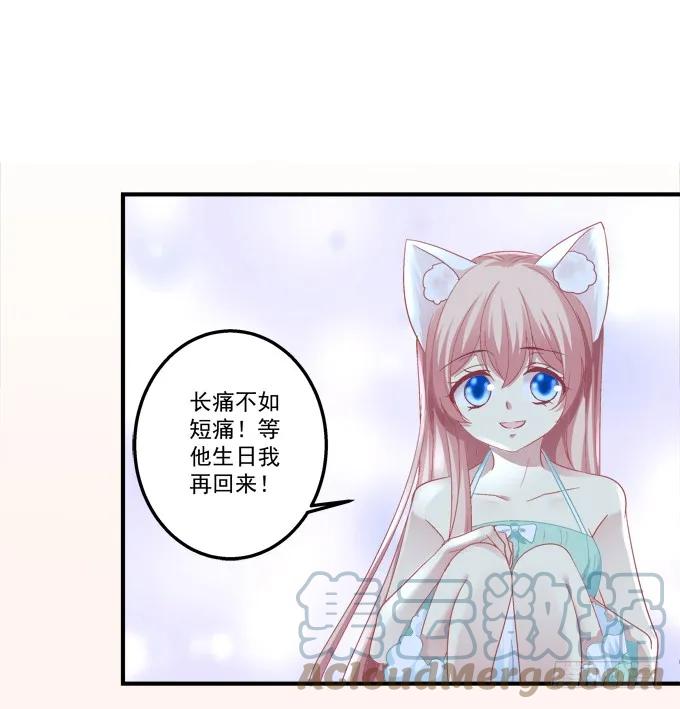 《猫妖的诱惑》情敌见面 第28页