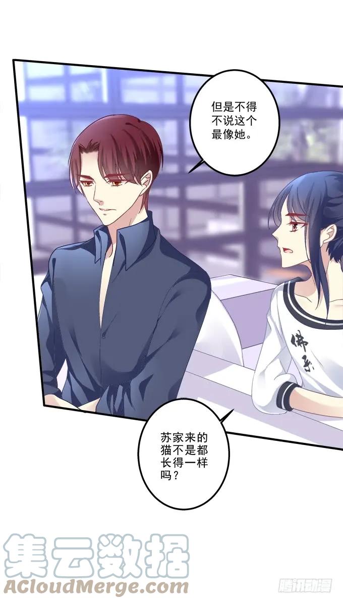 《猫妖的诱惑》情敌见面 第40页