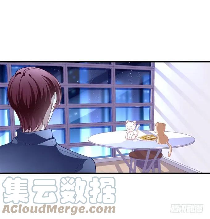 《猫妖的诱惑》情敌见面 第43页