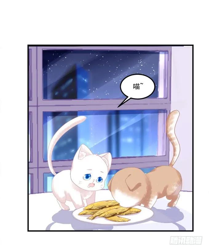《猫妖的诱惑》情敌见面 第32页