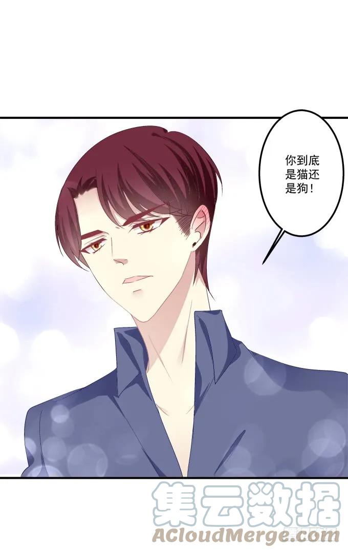 《猫妖的诱惑》跟他走吗？ 第34页