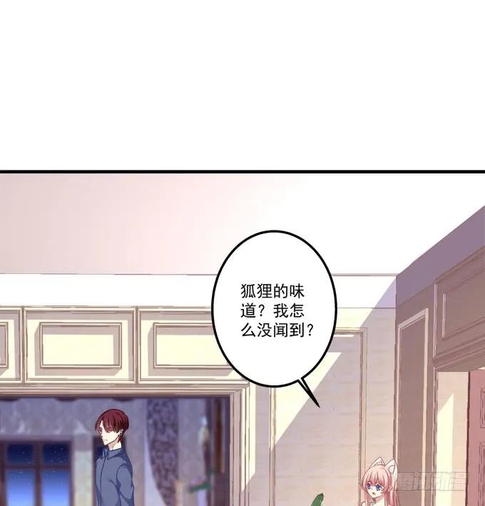 《猫妖的诱惑》跟他走吗？ 第6页