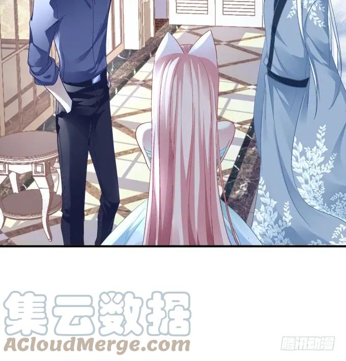 《猫妖的诱惑》谁睡了谁 第7页