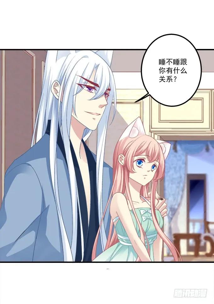 《猫妖的诱惑》谁睡了谁 第24页