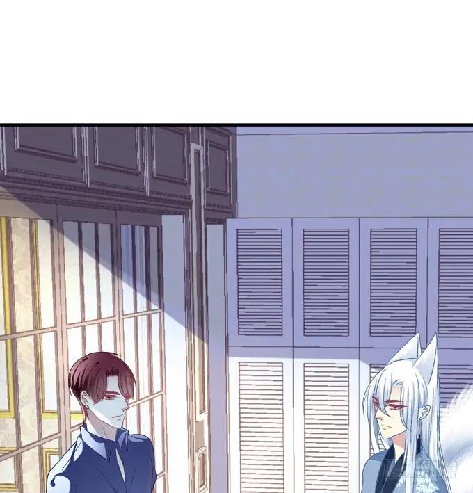 《猫妖的诱惑》谁睡了谁 第6页
