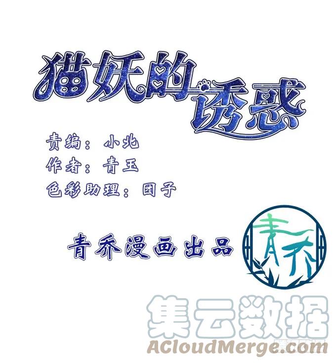《猫妖的诱惑》谁睡了谁 第4页