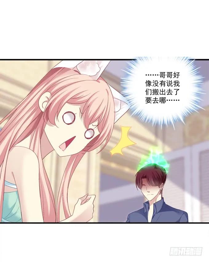 《猫妖的诱惑》谁睡了谁 第20页