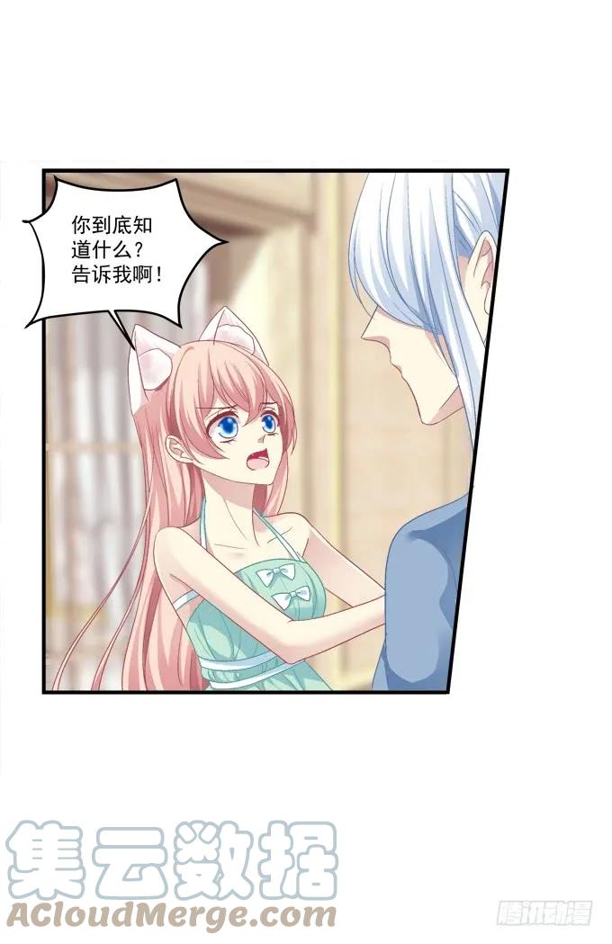 《猫妖的诱惑》无可取代 第28页