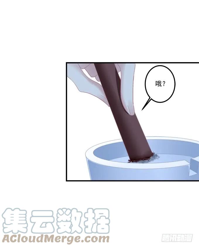 《猫妖的诱惑》流落街头 第40页