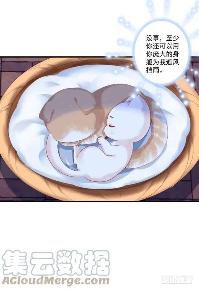 《猫妖的诱惑》流落街头 第31页