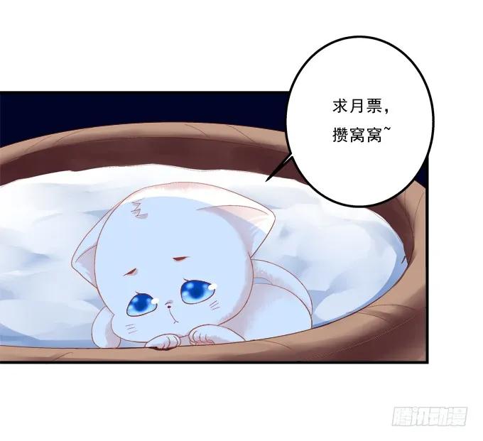 《猫妖的诱惑》流落街头 第48页