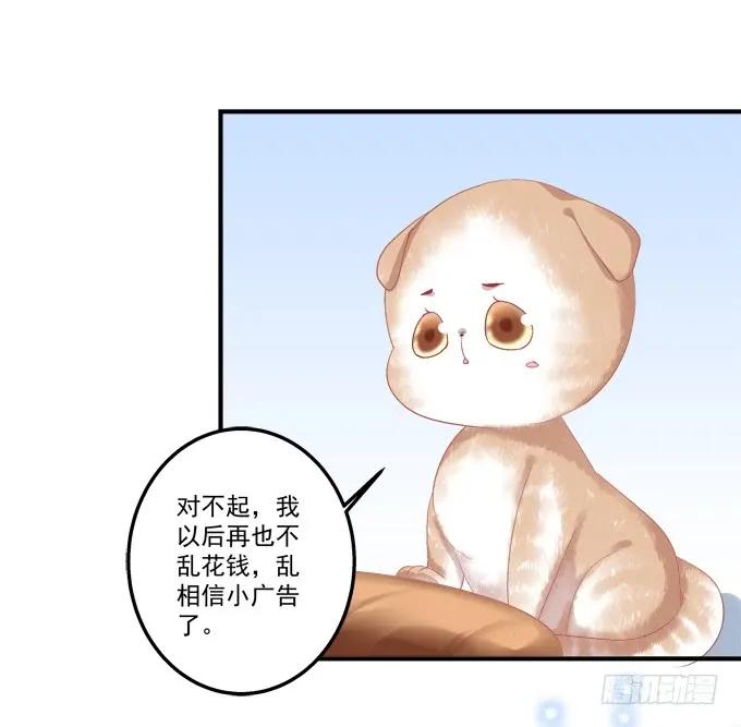 《猫妖的诱惑》流落街头 第30页