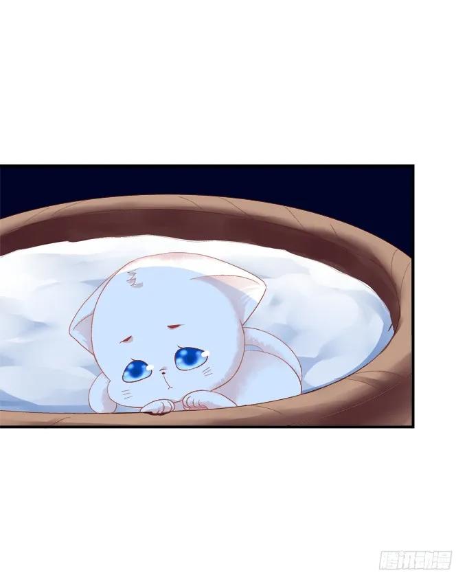 《猫妖的诱惑》流落街头 第29页
