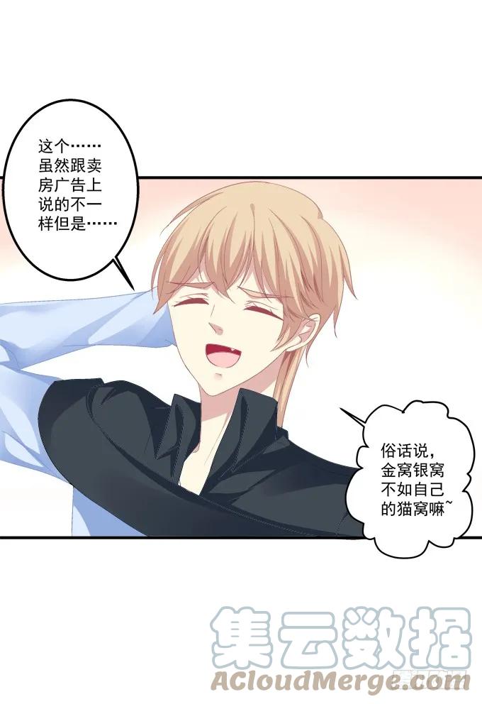 《猫妖的诱惑》流落街头 第13页