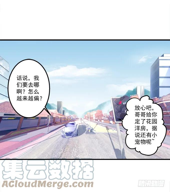 《猫妖的诱惑》流落街头 第7页