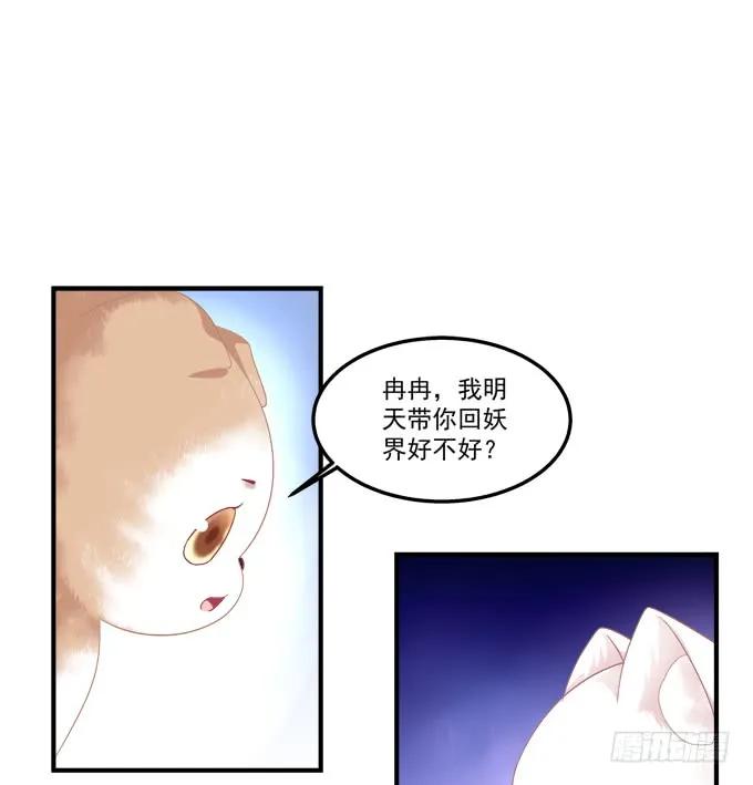 《猫妖的诱惑》流落街头 第32页