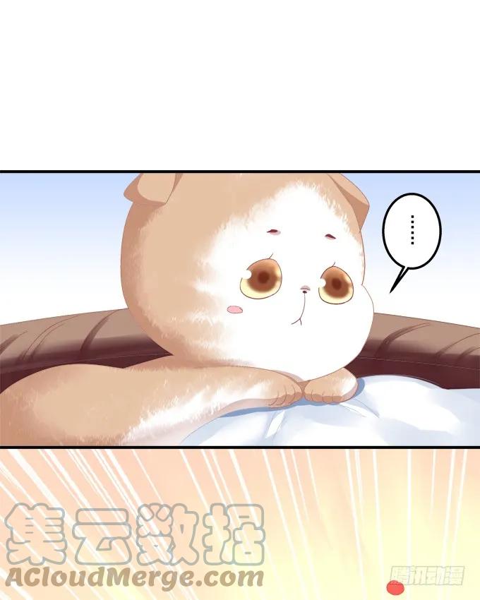 《猫妖的诱惑》流落街头 第34页