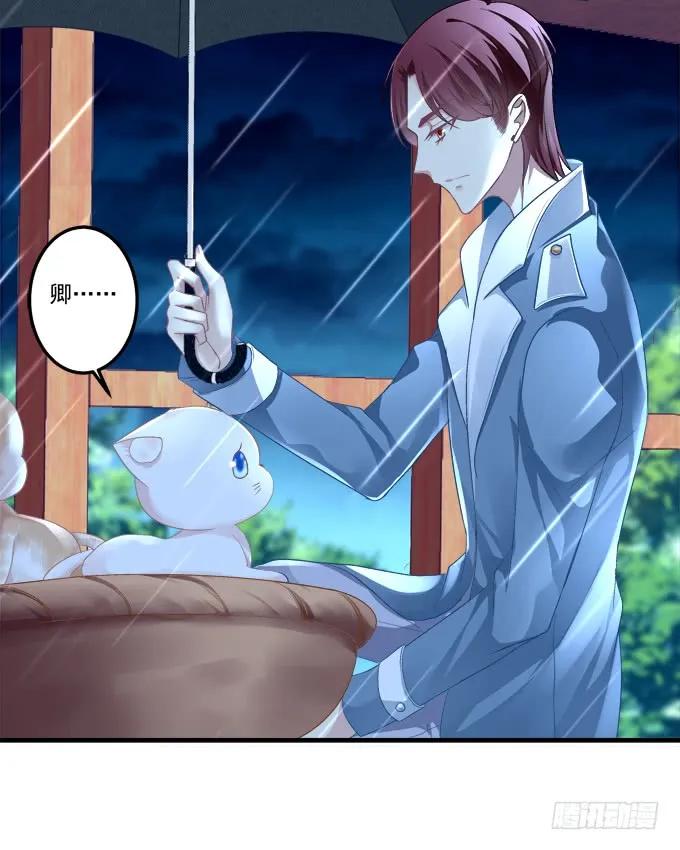 《猫妖的诱惑》反复欺骗 第12页