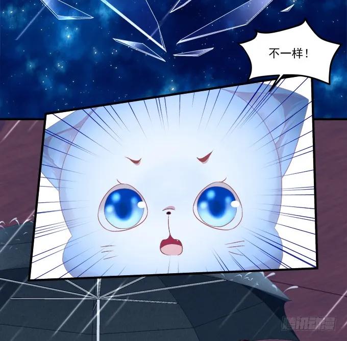 《猫妖的诱惑》反复欺骗 第11页