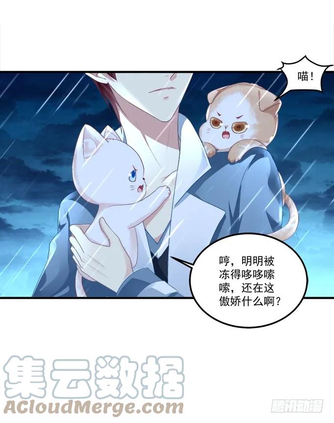《猫妖的诱惑》反复欺骗 第19页