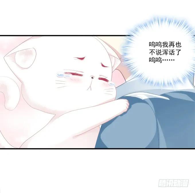 《猫妖的诱惑》反复欺骗 第14页