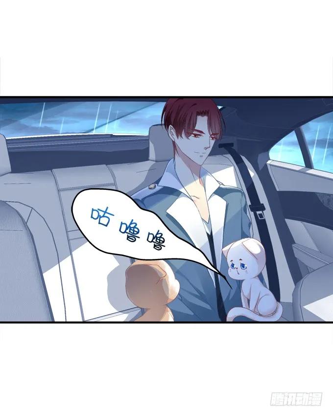 《猫妖的诱惑》反复欺骗 第21页