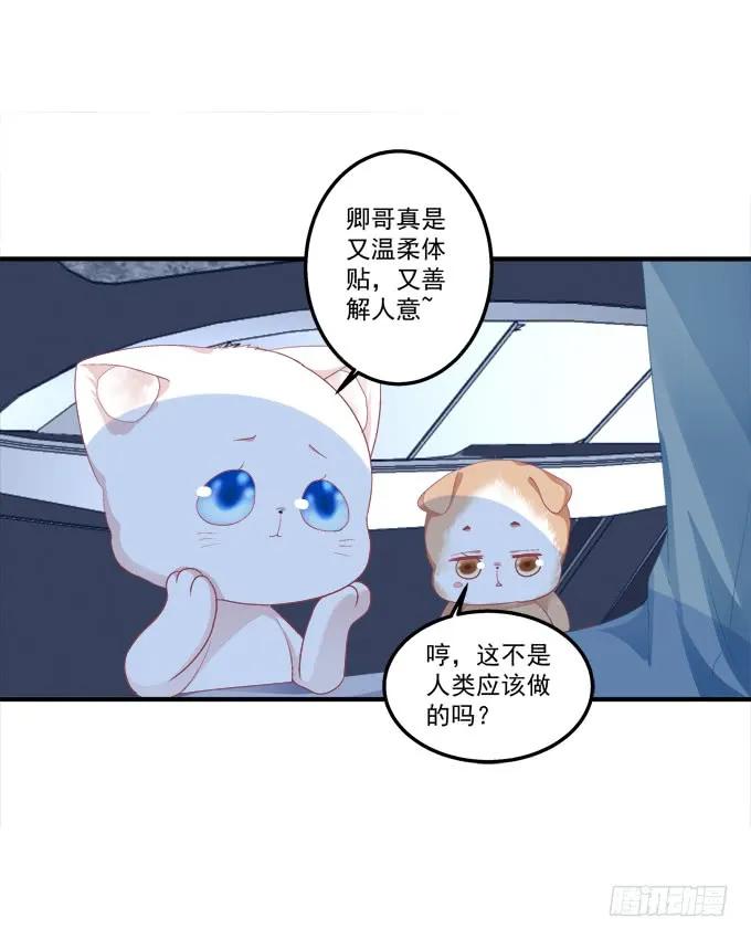 《猫妖的诱惑》反复欺骗 第23页