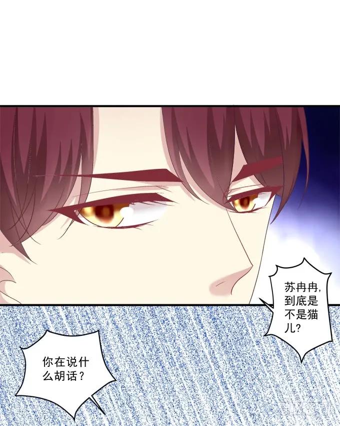 《猫妖的诱惑》黑白劫三 第12页