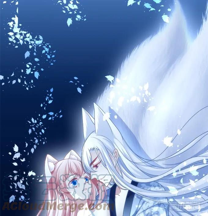 《猫妖的诱惑》黑白劫三 第1页