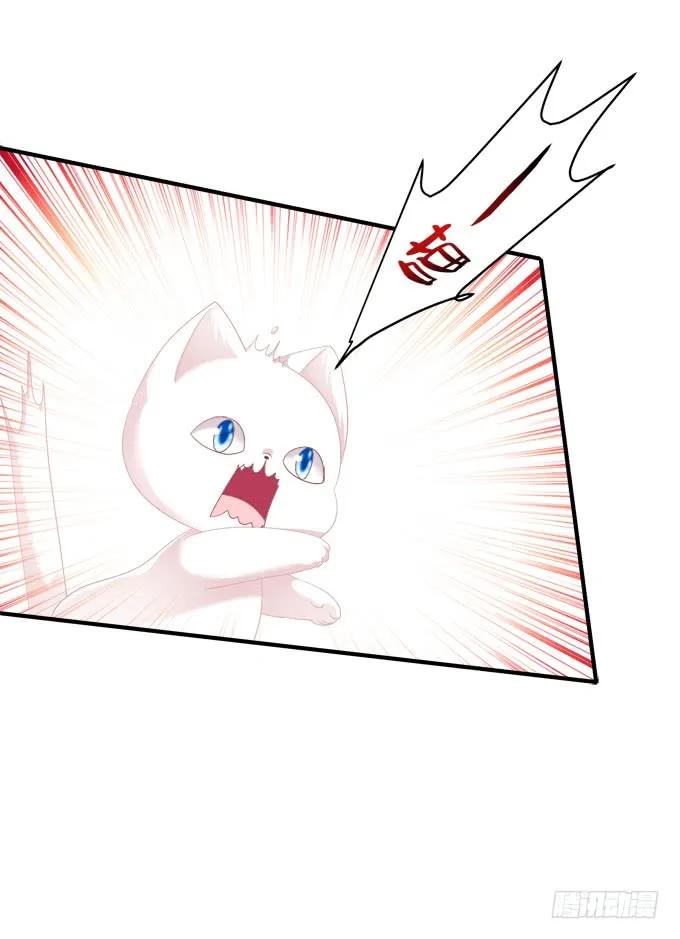 《猫妖的诱惑》黑白劫四 第51页