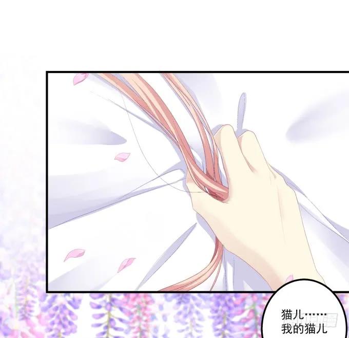 《猫妖的诱惑》黑白劫四 第11页