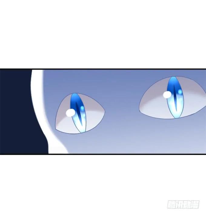 《猫妖的诱惑》黑白劫六 第29页