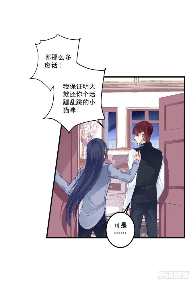 《猫妖的诱惑》黑白劫八 第26页