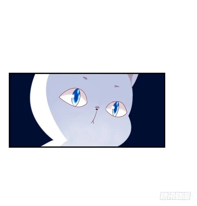 《猫妖的诱惑》黑白劫十一 第41页