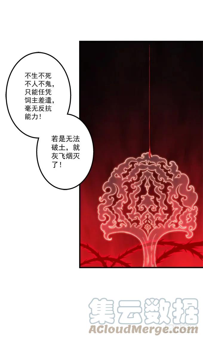 《猫妖的诱惑》黑白劫十四 第16页