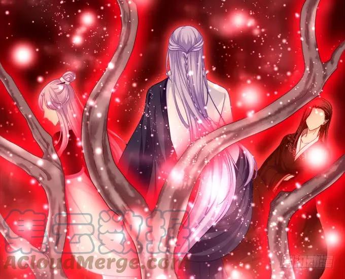 《猫妖的诱惑》黑白劫十四 第13页