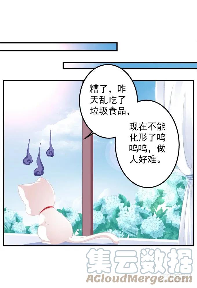 《猫妖的诱惑》番外·美图秀秀 第1页