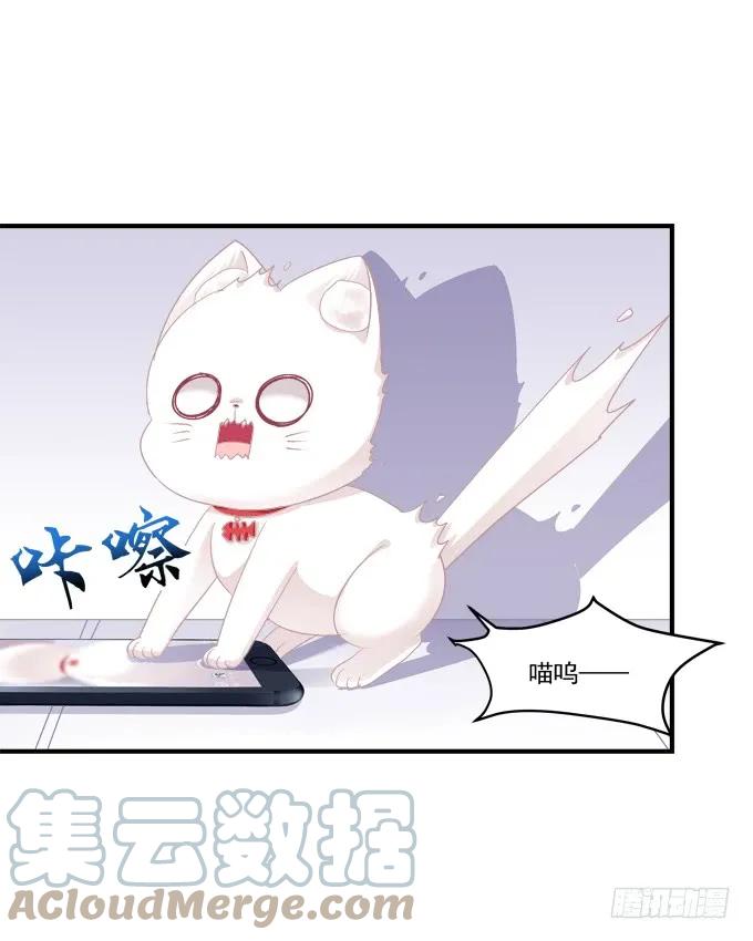 《猫妖的诱惑》番外·美图秀秀 第23页
