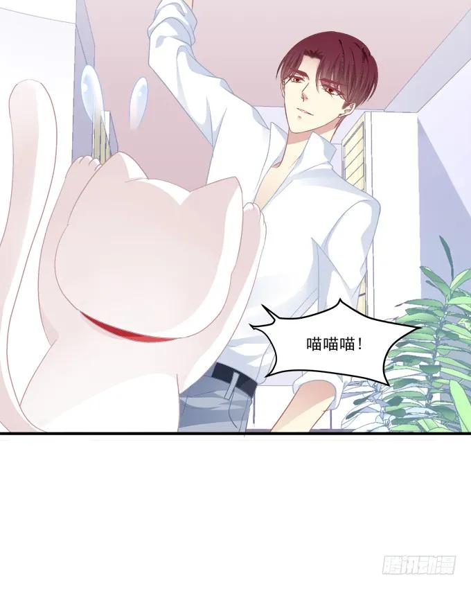 《猫妖的诱惑》番外·美图秀秀 第26页