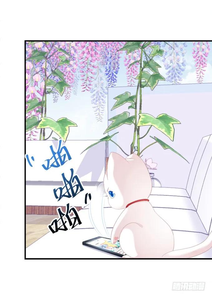 《猫妖的诱惑》番外·美图秀秀 第14页