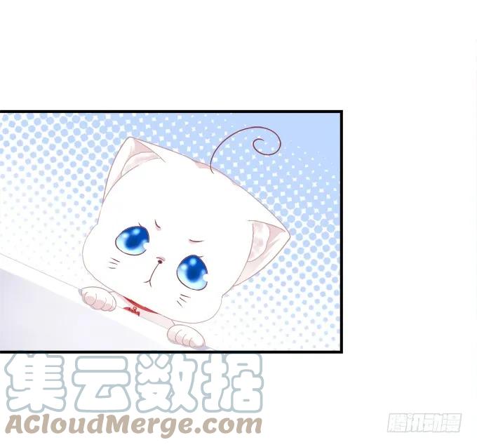 《猫妖的诱惑》番外·美图秀秀 第13页