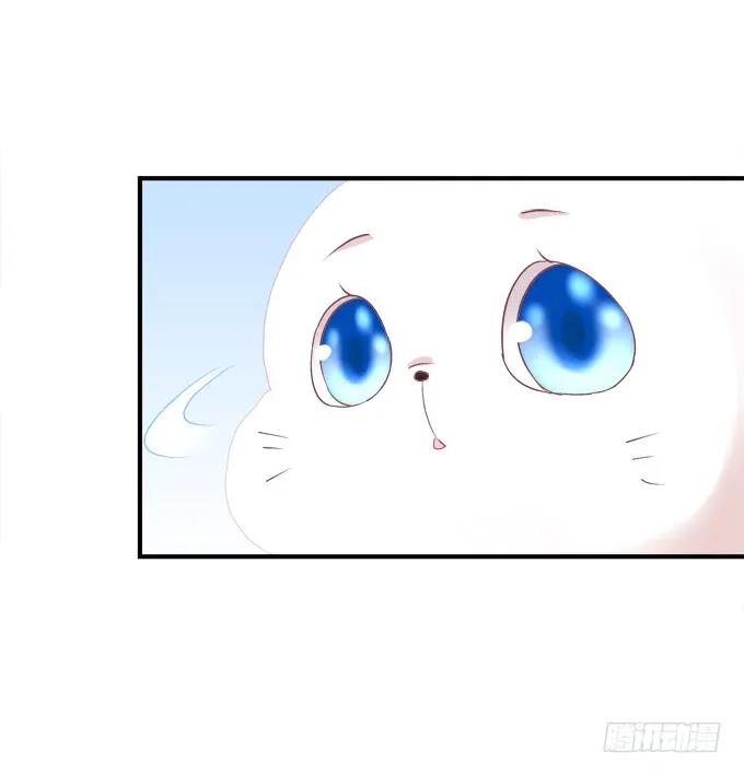 《猫妖的诱惑》番外·美图秀秀 第2页
