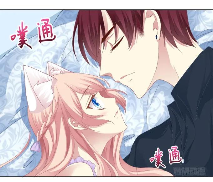 《猫妖的诱惑》这是要入洞房吗？ 第14页