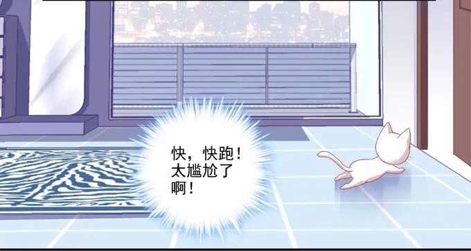 《猫妖的诱惑》这是要入洞房吗？ 第27页