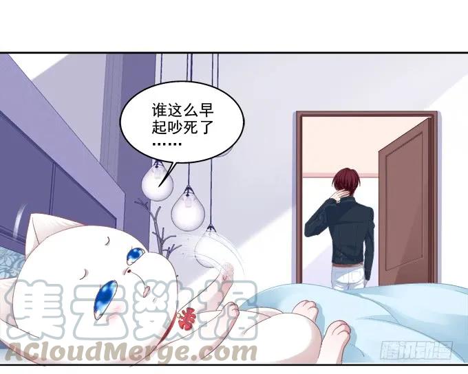 《猫妖的诱惑》这是要入洞房吗？ 第25页
