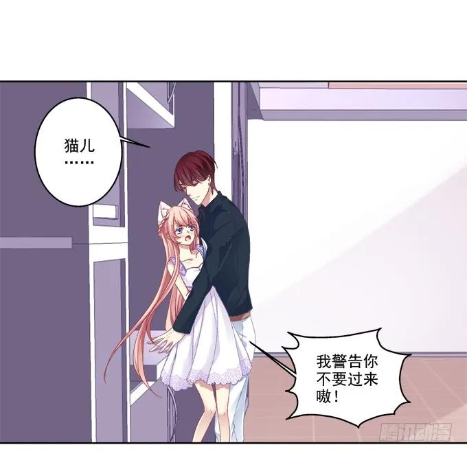《猫妖的诱惑》这是要入洞房吗？ 第2页