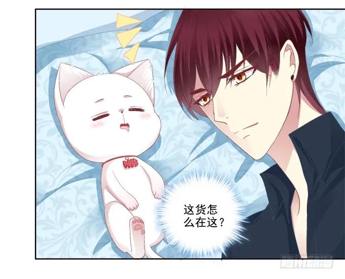 《猫妖的诱惑》这是要入洞房吗？ 第24页