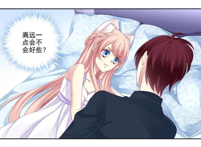 《猫妖的诱惑》这是要入洞房吗？ 第17页
